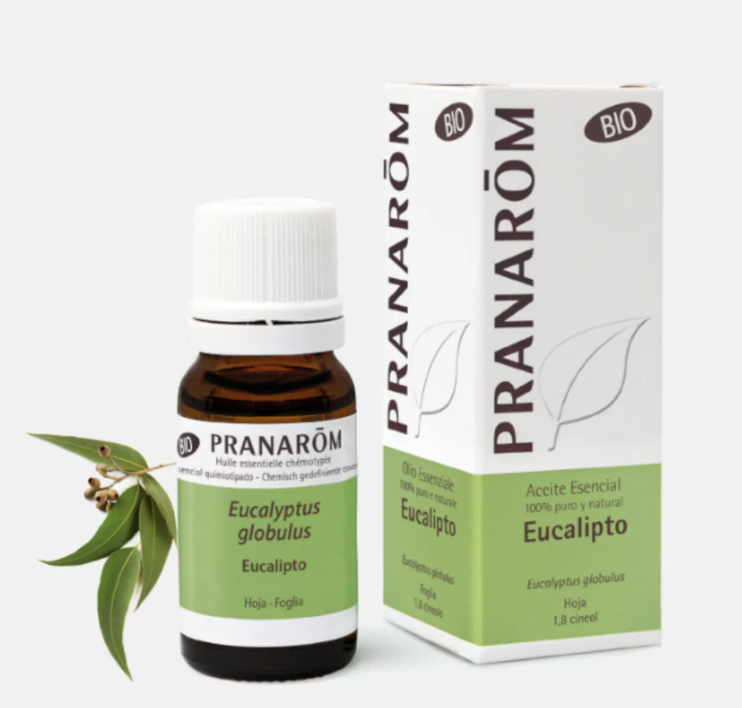 Óleo Essencial Eucalipto Globulos 10ml Pranarom