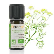 Óleo Essencial Coentro Florame